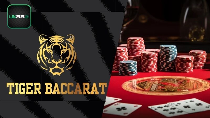 Giới thiệu sơ lược về bài Tiger Baccarat là gì?